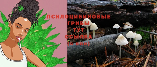 кокс Фёдоровский