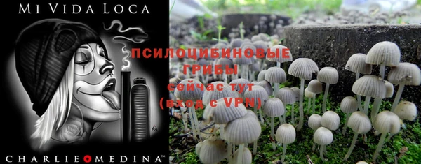 амф Каменск-Шахтинский