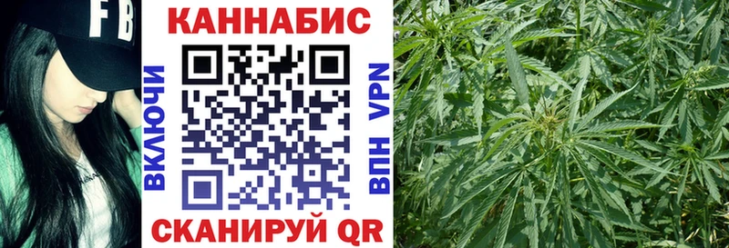 Купить  Грайворон  Бошки марихуана MAZAR 